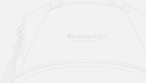 kinsuny