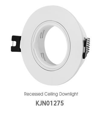 Surface Mounted Downlight