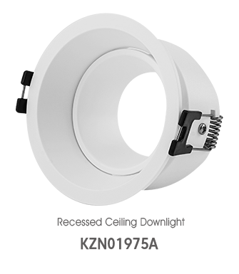 Surface Mounted Downlight