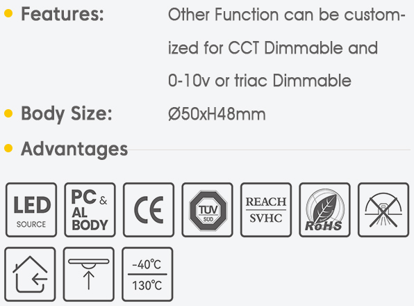 LED Spotlight