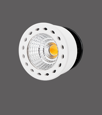 LED Spotlight Module